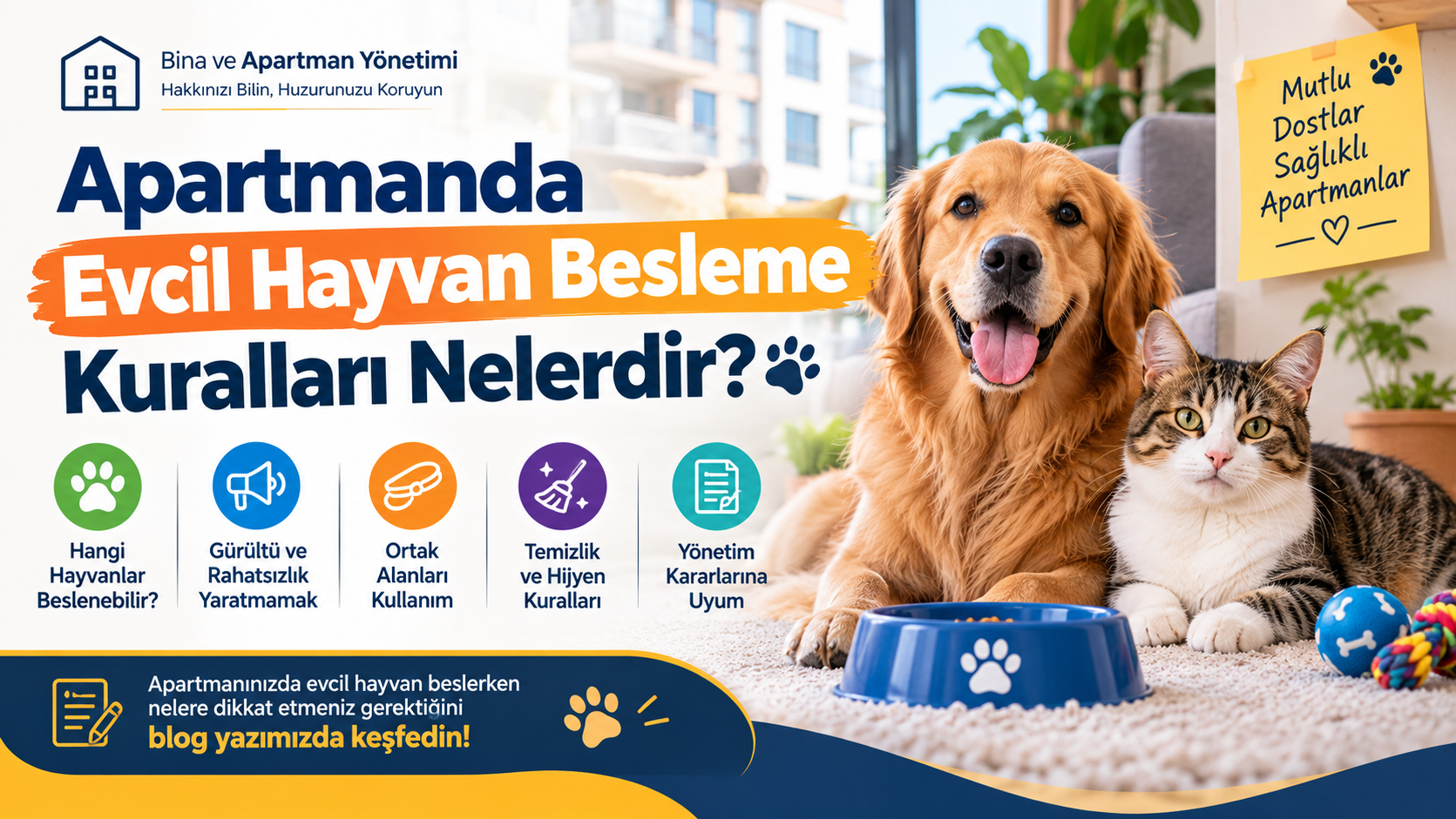 Apartmanda Evcil Hayvan Besleme Kuralları Nelerdir?