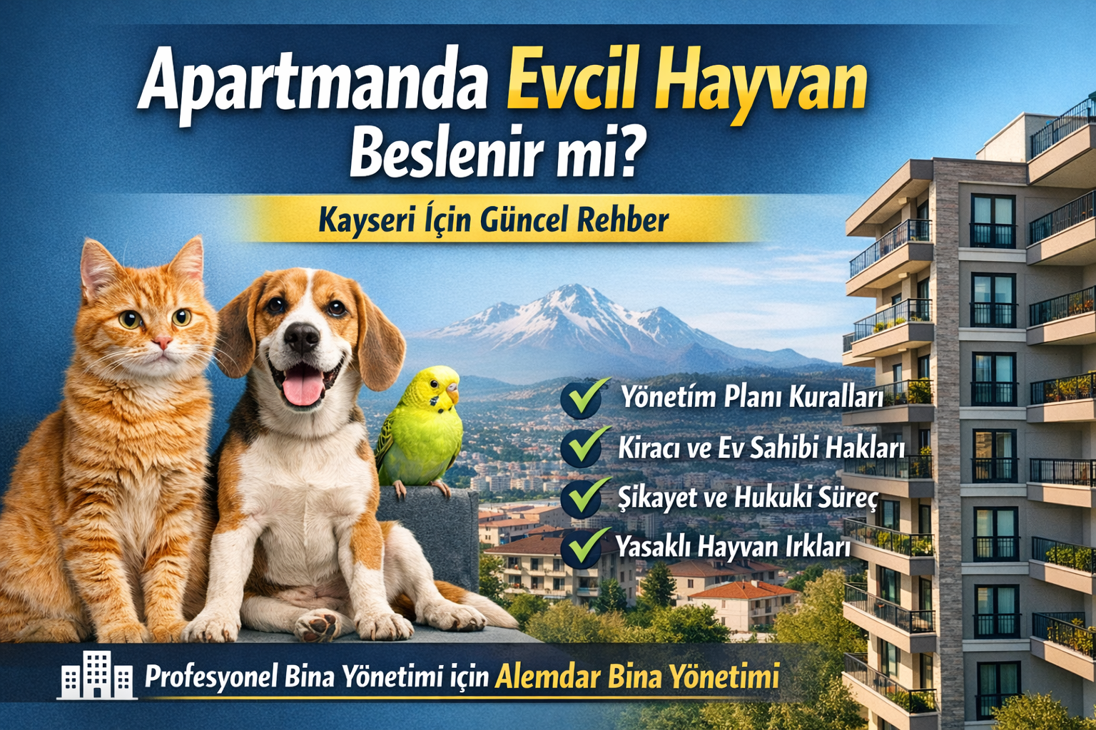 Apartmanda evcil hayvan beslemek yasak mı Kayseri apartman ve site yaşamında kedi köpek besleme kuralları